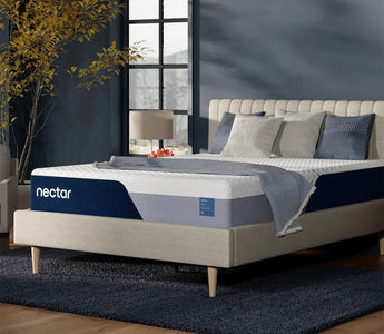 Nectar’s Newest Offerings: A Deep Dive Review