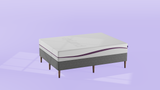 Purple - Mattress Overstock | Mattress Store | Kentucky - Purple Plus™ Mattress