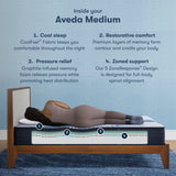 Serta - Mattress Overstock | Mattress Store | Kentucky - Serta iComfort Aveda Medium 12" Mattress