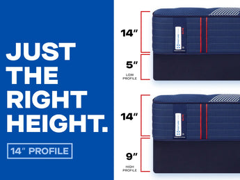 Side-by-side comparison showcasing the Sealy Posturepedic® Elite Albany 14-inch Firm Mattress paired with a 5-inch low profile foundation and a 9-inch high profile foundation, illustrating customizable height options with the text Just the Right Height.