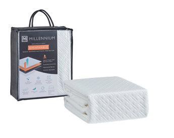 Sierra Sleep Basic Protector Queen mattress protector, white fitted waterproof cover