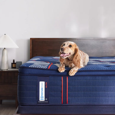 A golden cocker spaniel lounges happily on a Sealy Posturepedic® Elite Albany mattress placed on a wooden bed frame. The navy blue mattress features white diagonal striped patterns and red accent lines, with the Posturepedic Elite label clearly visible on the side. A white bedside lamp sits on a dark wooden nightstand next to the bed. The bedroom has light gray walls, creating a calm, minimalist setting that highlights both the pet-friendly mattress and the comfortable home environment.