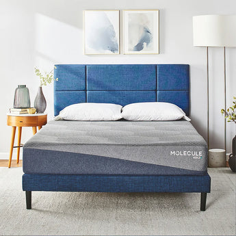 Molecule Mattress - Mattress Overstock | Mattress Store | Kentucky - Molecule Reflex Firm Mattress