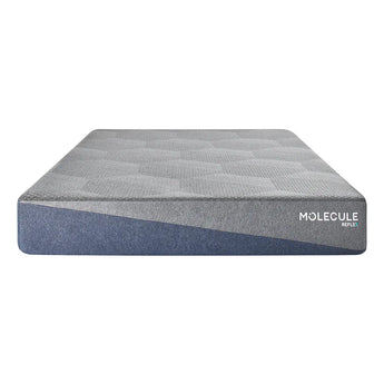 Molecule Mattress - Mattress Overstock | Mattress Store | Kentucky - Molecule Reflex Firm Mattress