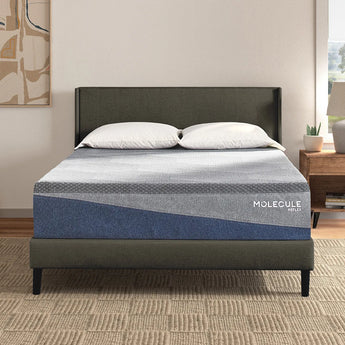 Molecule Mattress - Mattress Overstock | Mattress Store | Kentucky - Molecule Reflex Embrace Plush Mattress