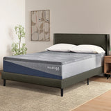 Molecule Mattress - Mattress Overstock | Mattress Store | Kentucky - Molecule Reflex Embrace Plush Mattress