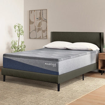 Molecule Mattress - Mattress Overstock | Mattress Store | Kentucky - Molecule Reflex Embrace Plush Mattress