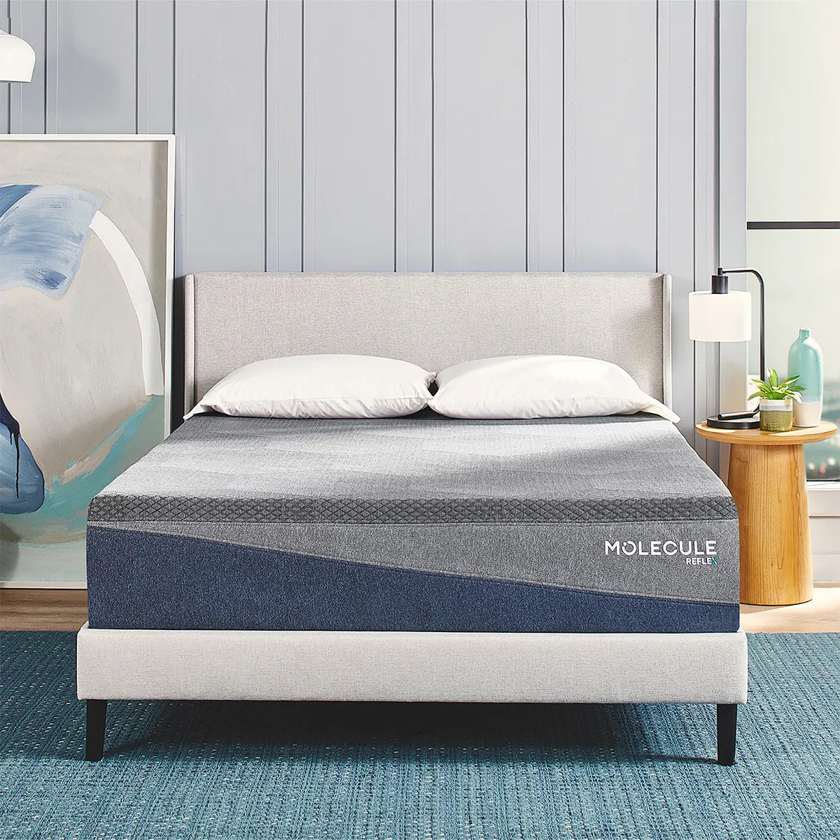 Molecule Mattress - Mattress Overstock | Mattress Store | Kentucky - Molecule Reflex Boost Medium Mattress