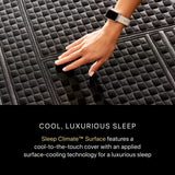 Beautyrest - Mattress Overstock | Mattress Store | Kentucky - Beautyrest Black® Series One 14.25" Medium Hybrid Mattress
