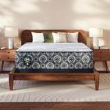 Serta - Mattress Overstock | Mattress Store | Kentucky - Serta Perfect Sleeper Cascade Canyon Plush 13.5" Mattress