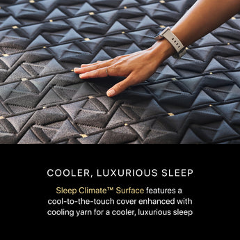 Beautyrest - Mattress Overstock | Mattress Store | Kentucky - Beautyrest Black® Series Four 16.75" Plush Apex Top Hybrid Mattress