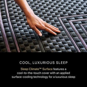 Beautyrest - Mattress Overstock | Mattress Store | Kentucky - Beautyrest Black® Series Two 14.25" Plush Hybrid Mattress