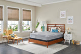 Sealy Posturepedic Memory Foam Medium 12" - Mattress Overstock | Sleep Local