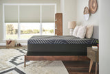 Sealy - Mattress Overstock | Mattress Store | Kentucky - Sealy Posturepedic® Plus Albany Medium 13" Hybrid Mattress