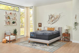Sealy Posturepedic® Plus High Point Firm 14” - Mattress Overstock | Sleep Local
