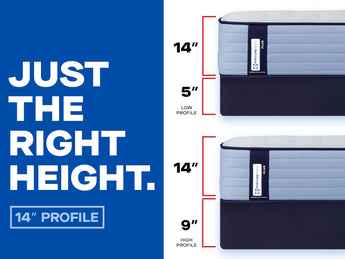 Sealy Posturepedic® Plus Plainfield 14" Medium Mattress