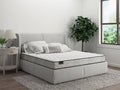 Sherwood by Sealy - Mattress Overstock | Mattress Store | Kentucky - Sherwood Basic 6" Foam Mattress