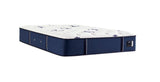 Stearns and Foster - Mattress Overstock | Mattress Store | Kentucky - Stearns & Foster® Studio 14" Medium Mattress