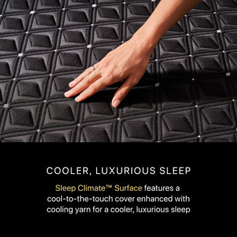Beautyrest - Mattress Overstock | Mattress Store | Kentucky - Beautyrest Black® Series Three 15.25" Firm Hybrid Mattress