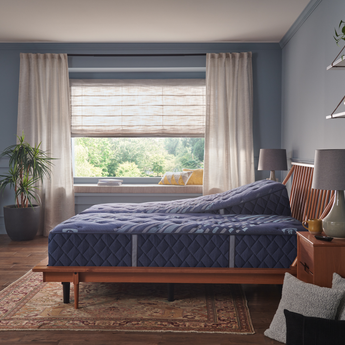 Sealy - Mattress Overstock - Kentucky