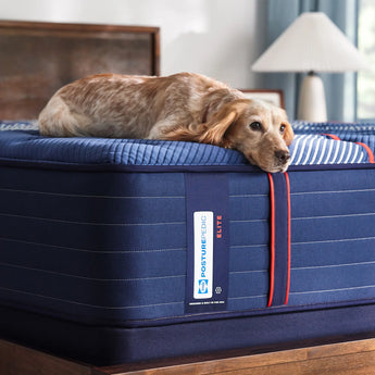 Sealy Posturepedic® Elite Albany 14 Sealy Posturepedic® Elite Albany 14