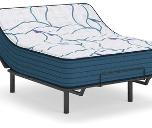Sierra Sleep Limited Edition Firm 3.0 Mattress