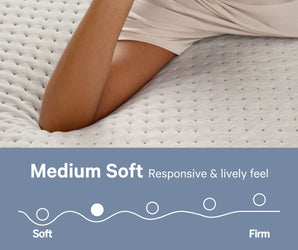 Casper - Mattress Overstock | Mattress Store | Kentucky - Casper Dream Max Mattress