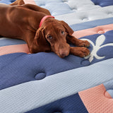 Stearns & Foster Reserve® Duet Firm Mattress - lifestyle view