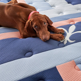 Stearns & Foster Reserve® Duet Firm Mattress - lifestyle view