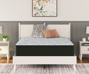 Sierra Sleep Elite Springs Plush Mattress