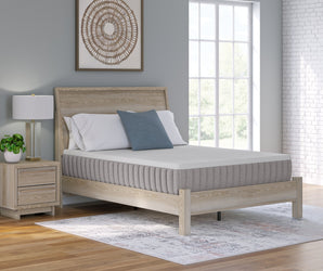 Sierra Sleep Terra Sleep Firm Mattress