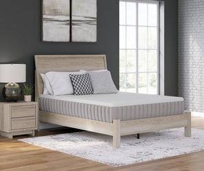 Sierra Sleep Terra Sleep Medium Mattress