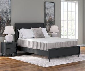 Sierra Sleep Terra Sleep Soft Mattress