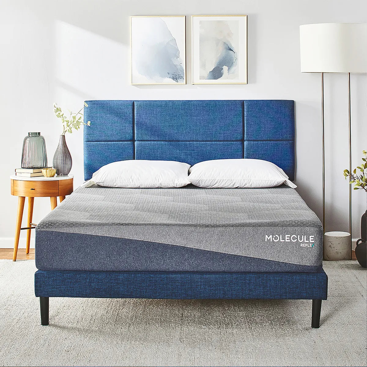 Molecule Mattress - Mattress Overstock | Mattress Store | Kentucky - Molecule Reflex Firm Mattress