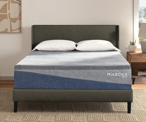 Molecule Reflex Embrace Plush Mattress