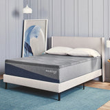 Molecule Mattress - Mattress Overstock | Mattress Store | Kentucky - Molecule Reflex Boost Medium Mattress