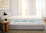 Casper - Mattress Overstock | Mattress Store | Kentucky - Casper Snow Max Mattress
