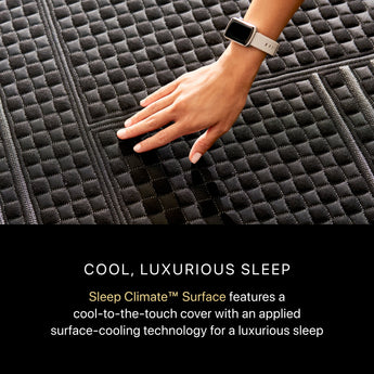 Beautyrest - Mattress Overstock | Mattress Store | Kentucky - Beautyrest Black® Series One 14.25" Medium Hybrid Mattress