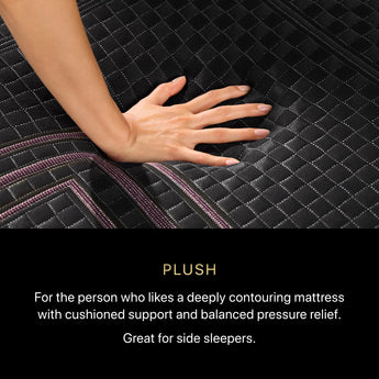 Beautyrest - Mattress Overstock | Mattress Store | Kentucky - Beautyrest Black® Series Two 14.25" Plush Hybrid Mattress