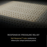 Beautyrest - Mattress Overstock | Mattress Store | Kentucky - Beautyrest Black® Series Three 16.25" Medium Pillow Top Mattress