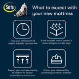 Serta Perfect Morning Elmbrook Plush Pillow Top 15" Mattress - what to expect