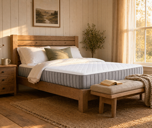 Sierra Sleep Terra Sleep Firm Mattress