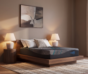 Sierra Sleep Millennium 2.0 Hybrid 14 Inch Mattress