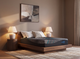 Sierra Sleep Millennium 2.0 Hybrid 14 Inch Mattress, evening bedroom setting
