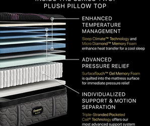 Beautyrest Black® Series Two 16.25" Plush Pillow Top Mattress