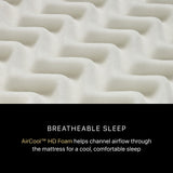 Beautyrest - Mattress Overstock | Mattress Store | Kentucky - Beautyrest Black® Series One 12.75" Extra Firm Mattress