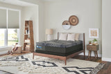 Sealy - Mattress Overstock | Mattress Store | Kentucky - Sealy Posturepedic® Plus Albany Medium 13" Hybrid Mattress
