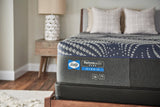 Sealy - Mattress Overstock | Mattress Store | Kentucky - Sealy Posturepedic® Plus Albany Medium 13" Hybrid Mattress