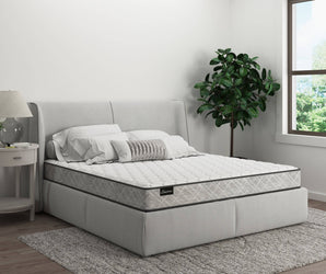 Sherwood Basic 6" Foam Mattress - Mattress Overstock | Mattress Store | Kentucky