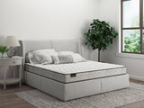 Sherwood by Sealy - Mattress Overstock | Mattress Store | Kentucky - Sherwood Basic 7" Innerspring Mattress